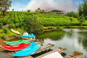 Scopri il meglio di Mauritius: tour guidato di un giorno in auto