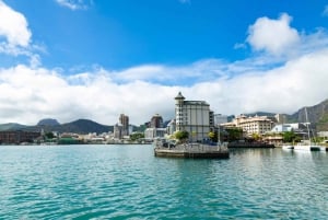 Scopri il meglio di Mauritius: tour guidato di un giorno in auto