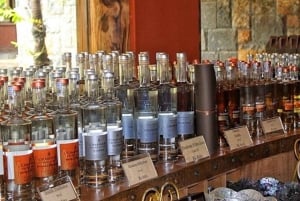 Esplora il sud-ovest con un pranzo locale e una degustazione di rum