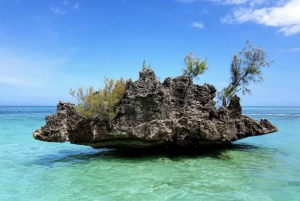Explore the Northern Islets: Gabriel, Flat & Gunners Quoin
