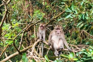 Traghetto ile Aux cerfs