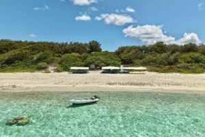 Île Plate: travesía en barco y día en The Governor's House