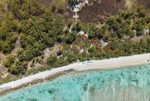 Île Plate: travesía en barco y día en The Governor's House