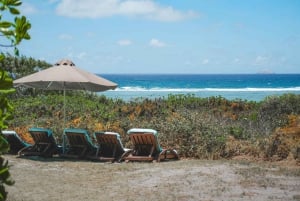 Île Plate: travesía en barco y día en The Governor's House