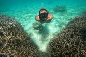 Au départ de Blue Bay : Excursion en bateau rapide sur l'Ile aux Cerfs avec BBQ