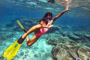 Au départ de Blue Bay : Excursion en bateau rapide sur l'Ile aux Cerfs avec BBQ