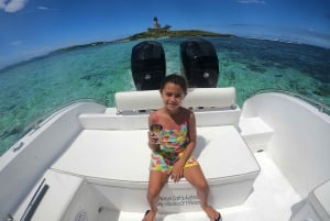 Au départ de Blue Bay : Excursion en bateau rapide sur l'Ile aux Cerfs avec BBQ