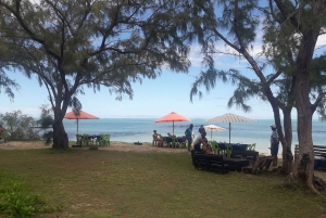Au départ de Blue Bay : Excursion en bateau rapide sur l'Ile aux Cerfs avec BBQ