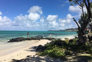 Au départ de Blue Bay : Excursion en bateau rapide sur l'Ile aux Cerfs avec BBQ