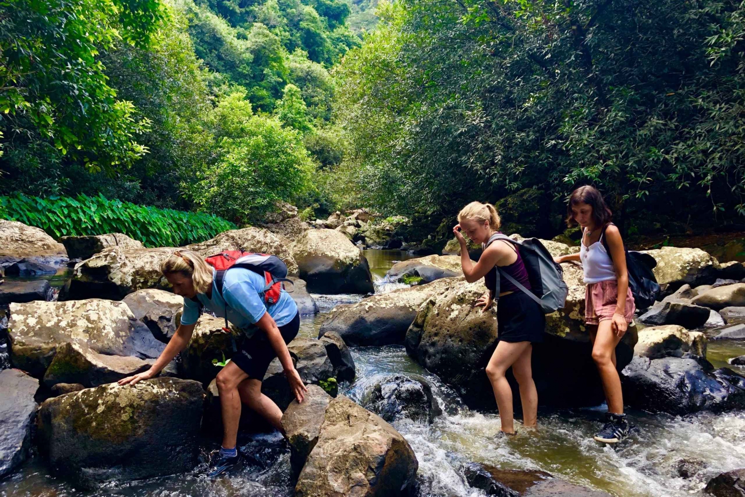 From Chamarel: Waterfall Eco-Hike Adventure in Mauritius