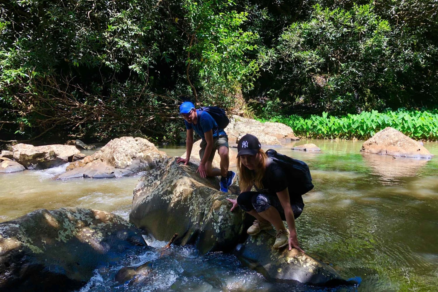 From Chamarel: Waterfall Eco-Hike Adventure