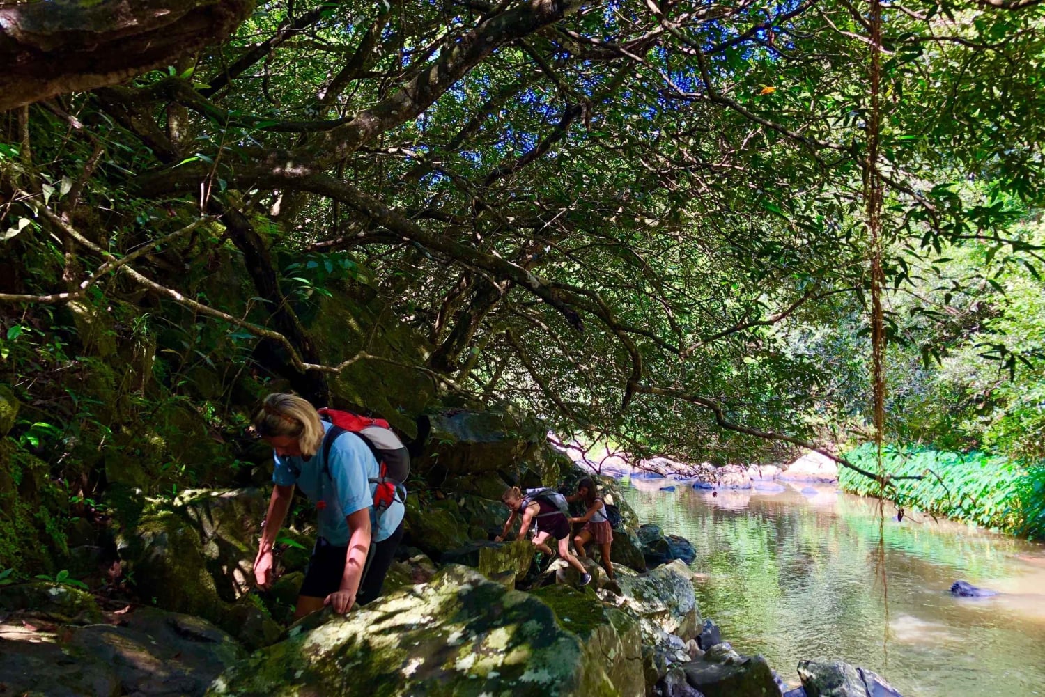 From Chamarel: Waterfall Eco-Hike Adventure