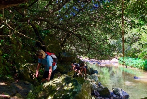 From Chamarel: Waterfall Eco-Hike Adventure