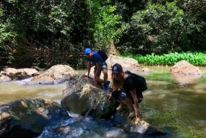De Chamarel: Aventura na cascata Eco-Hike