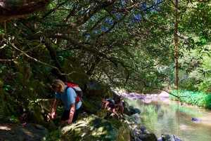 From Chamarel: Waterfall Eco-Hike Adventure