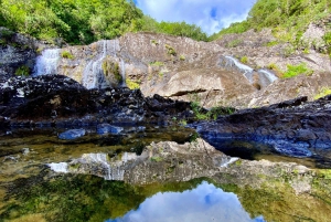 From Quatre Cocos: Tamarind Falls Hiking Day Trip