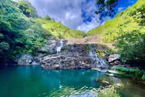 From Quatre Cocos: Tamarind Falls Hiking Day Trip