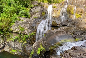 From Quatre Cocos: Tamarind Falls Hiking Day Trip