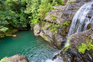 From Quatre Cocos: Tamarind Falls Hiking Day Trip