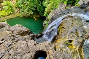 From Quatre Cocos: Tamarind Falls Hiking Day Trip