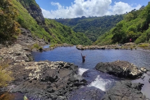 From Quatre Cocos: Tamarind Falls Hiking Day Trip