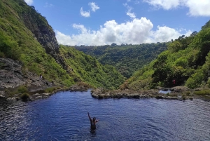 Fra Quatre Cocos: Tamarind Falls Vandring Dagstur