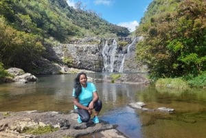 Fra Quatre Cocos: Tamarind Falls Vandring Dagstur