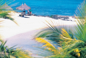 Île aux Cerfs : excursion en hors-bord avec déjeuner, découverte de l'île et de la cascade