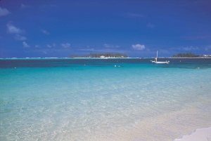 Île aux Cerfs : excursion en hors-bord avec déjeuner, découverte de l'île et de la cascade