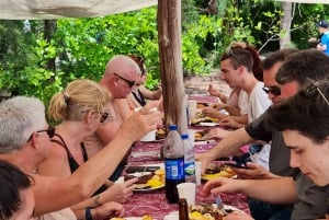 Île aux Cerfs : excursion en hors-bord avec déjeuner, découverte de l'île et de la cascade