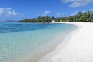Île aux Cerfs : excursion en hors-bord avec déjeuner, découverte de l'île et de la cascade