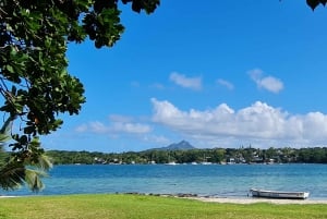 Île aux Cerfs : excursion en hors-bord avec déjeuner, découverte de l'île et de la cascade
