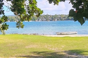 Île aux Cerfs : excursion en hors-bord avec déjeuner, découverte de l'île et de la cascade