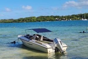 Île aux Cerfs : excursion en hors-bord avec déjeuner, découverte de l'île et de la cascade