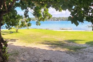 Île aux Cerfs : excursion en hors-bord avec déjeuner, découverte de l'île et de la cascade