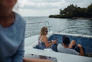 Crucero de día completo en catamarán a Ile aux Cerfs con almuerzo