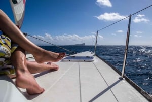 Ganztägige Katamaran-Luxus-Kreuzfahrt zu den nördlichen Inseln mit Mittagessen