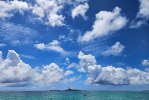 ÎLE AUX CERFS EN HORS-BORD - 5 îles de l'Est avec transfert.