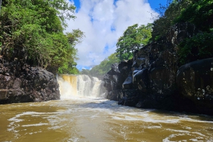 ÎLE AUX CERFS EN HORS-BORD - 5 îles de l'Est avec transfert.