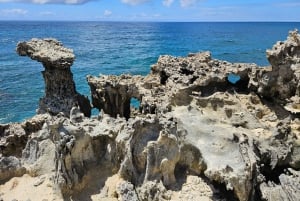 ÎLE AUX CERFS EN HORS-BORD - 5 îles de l'Est avec transfert.