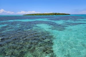 ÎLE AUX CERFS EN HORS-BORD - 5 îles de l'Est avec transfert.