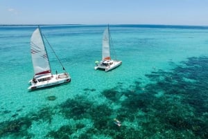 Heldagskryssning till Ile aux Cerfs med grillad lunch inkluderad