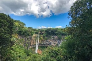 Tour di un giorno con autista personale
