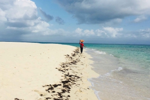 Tour di un giorno con autista personale