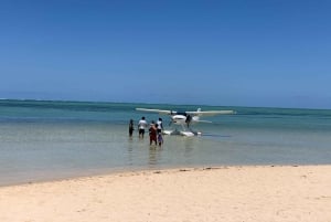 Tour di un giorno con autista personale