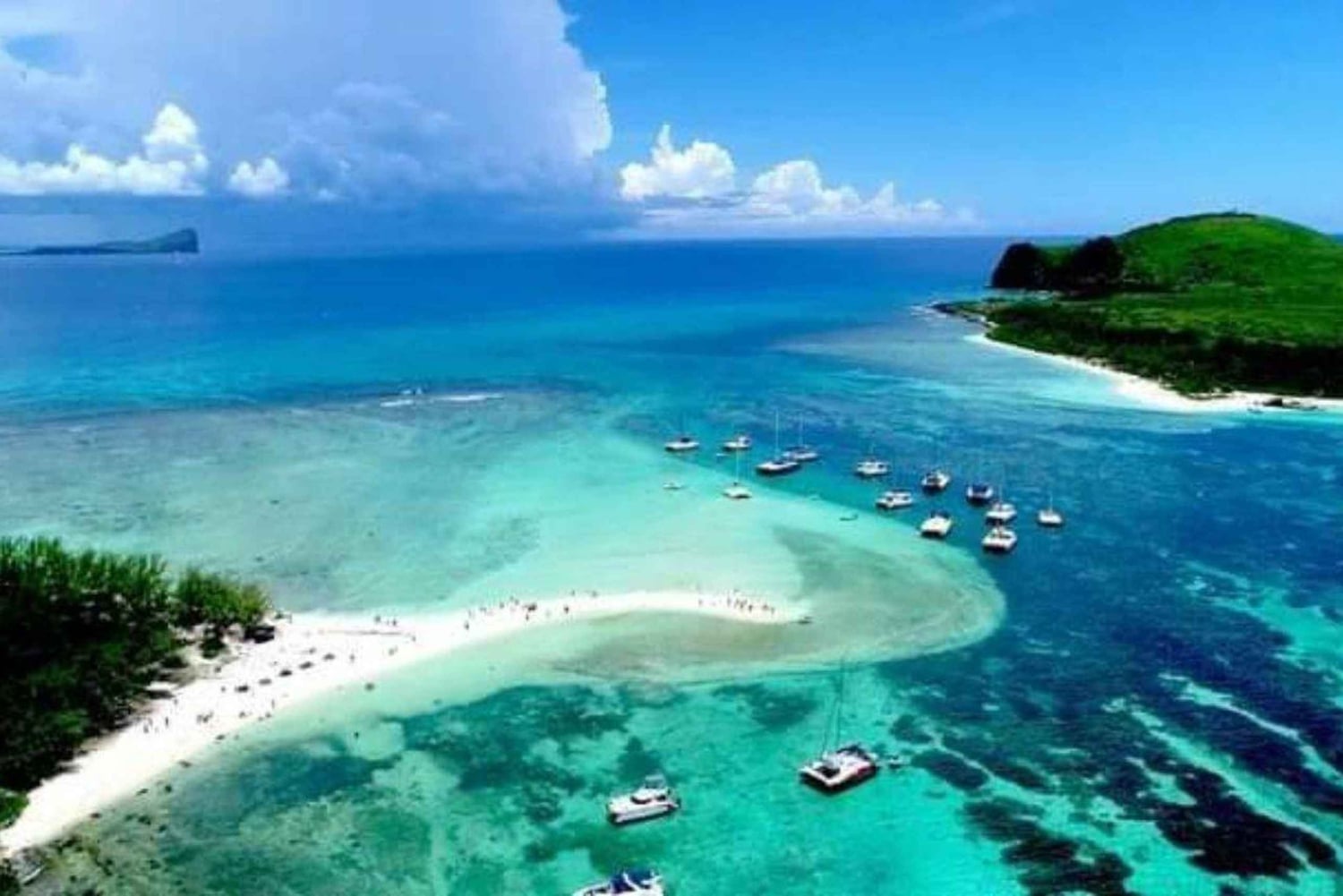 Cruzeiro de um dia inteiro em catamarã (Ilha do Norte - compartilhado) com traslado