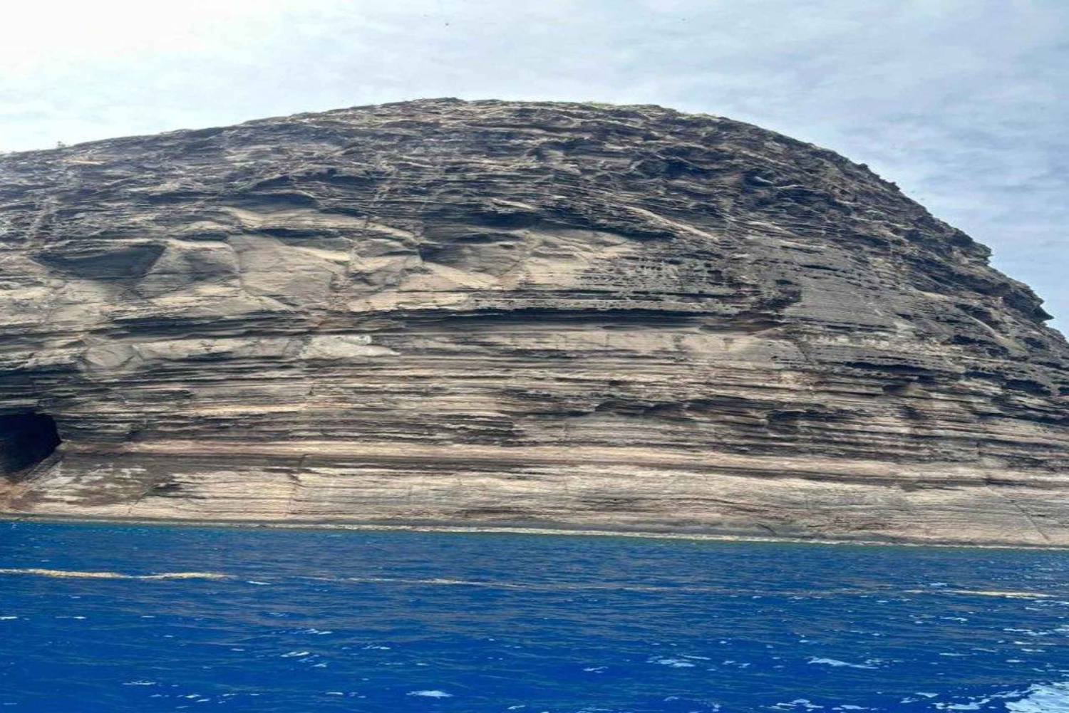 Cruzeiro de um dia inteiro em catamarã (Ilha do Norte - compartilhado) com traslado
