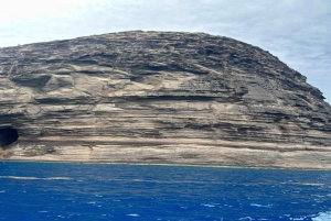 Cruzeiro de um dia inteiro em catamarã (Ilha do Norte - compartilhado) com traslado