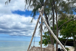 Koko päivä: Ympäristöystävällinen delfiinikohtaaminen ja grilli Benitier-saarella