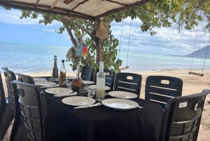 Koko päivä: Ympäristöystävällinen delfiinikohtaaminen ja grilli Benitier-saarella